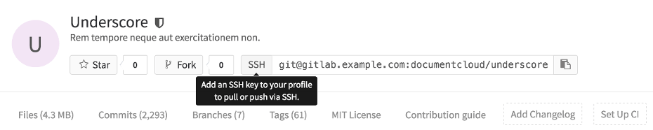 Project URL with SSH only access